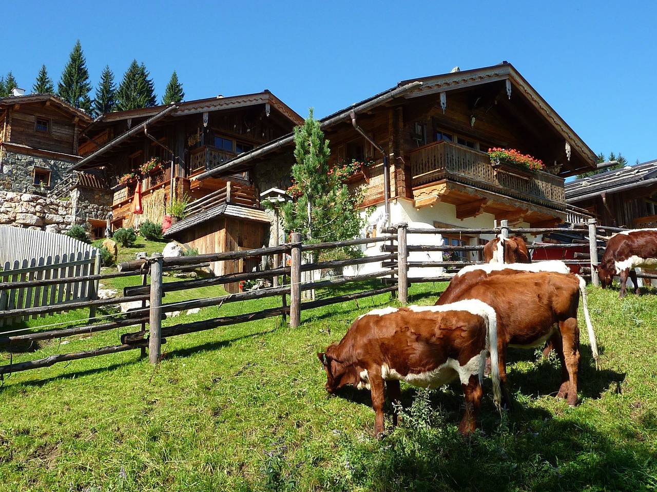 Im Almdorf in Flachau in Flachau, Ski Amadé