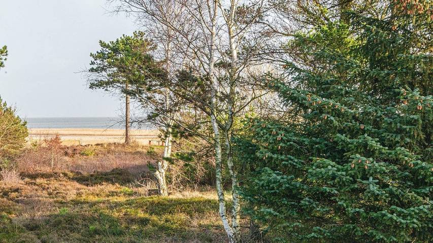 Ferienhaus für 4 Personen, mit Ausblick und Terrasse in Havneby