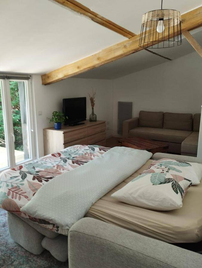 Location de vacances pour 8 personnes, avec terrasse et jardin, animaux acceptés à Mios - 4