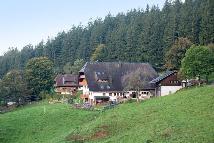 Ganze Wohnung, Ferienwohnung 'St Märgen, 55qm' mit Gemeinschaftsgarten, Balkon und Wi-Fi in St. Peter, Südschwarzwald
