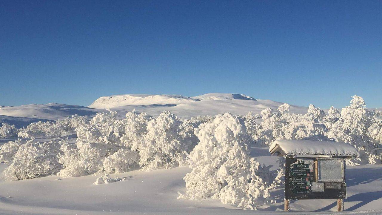 Hel ferielejlighed, Ferienwohnung für 4 Personen (36 m²) in Geilo in Geilo, Hol
