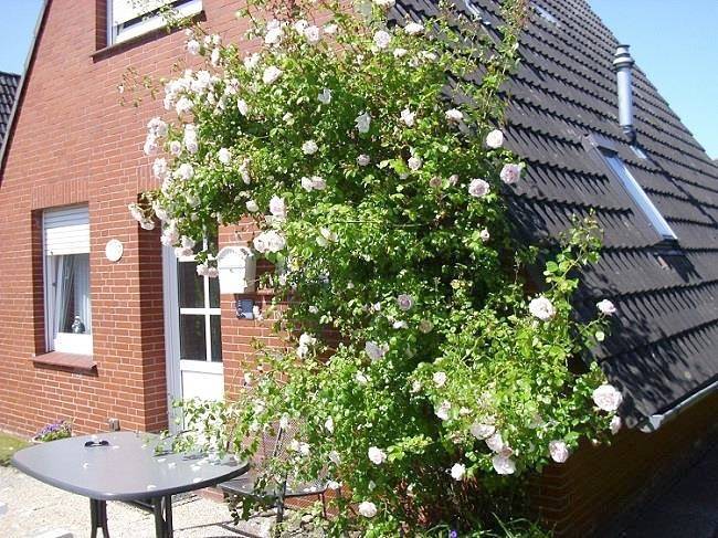 Greetjehaus 2011 in Westeraccumersiel, Dornum
