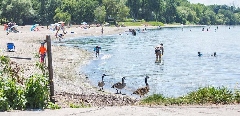 Villa pour 2 personnes, avec jacuzzi ainsi que terrasse et jardin dans Canada - 3
