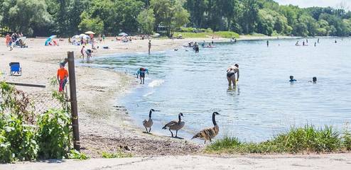 Villa pour 2 Personnes dans Saint Catharines, Ontario, Photo 2