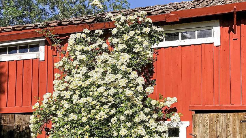 Ferienhaus für 5 Personen in Väddö - 3