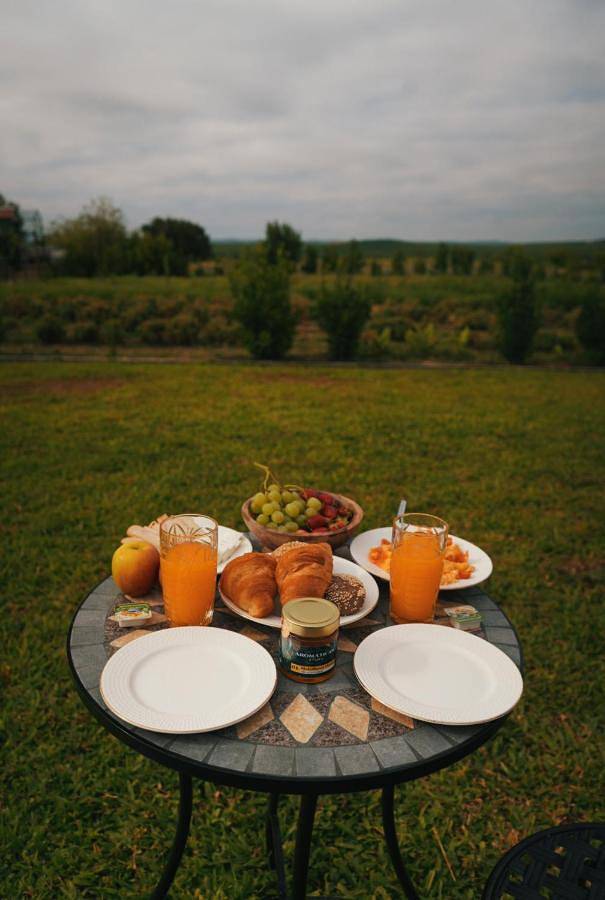 Location de vacances pour 8 personnes, avec vue ainsi que jardin et piscine à Évora - 4