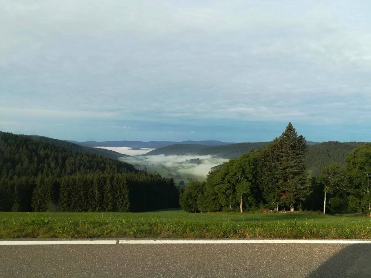 Pension Forsthaus Täle - das Gästehaus vom Schwarzwaldgasthaus Salenhof in Schwärzenbach (Titisee-Neustadt), Titisee-Neustadt