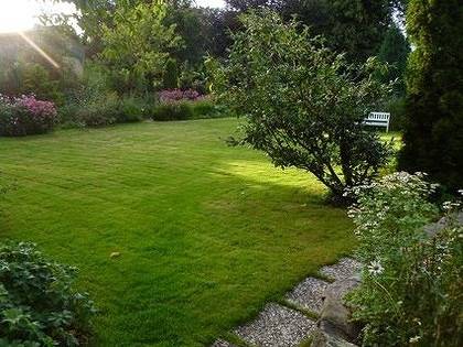 Bauernhof für 5 Personen, mit Terrasse und Garten sowie Sauna, kinderfreundlich in Boren - 2