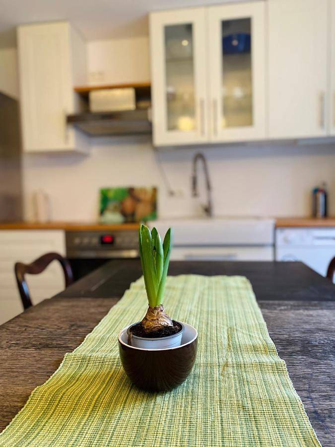Lily-Rose Cottage in Nordheide