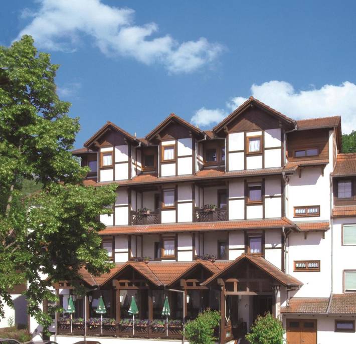 Hôtel pour 3 personnes, avec Balcon ainsi que Terrasse et Vue
