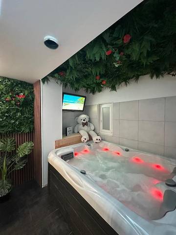Gîte pour 2 personnes, avec jacuzzi et sauna à Eckbolsheim