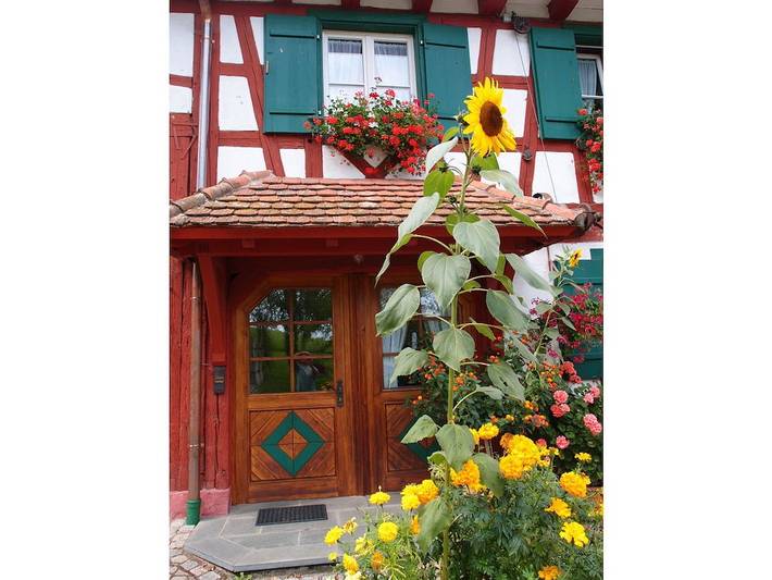 Ferienhaus für 5 Personen, mit Balkon und Garten sowie Sauna in Owingen - 4