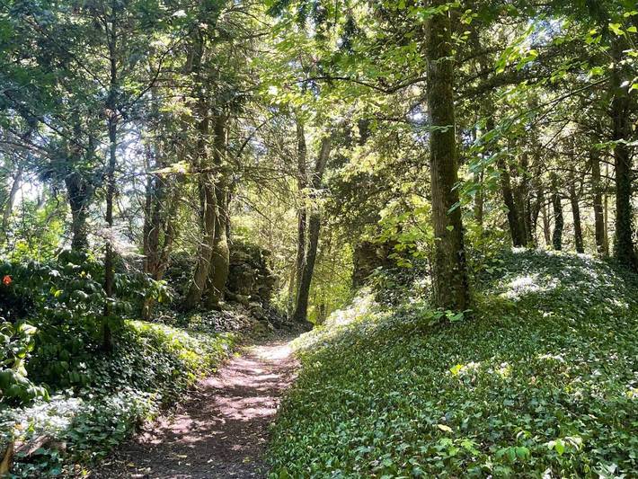 Gîte pour 4 personnes, avec vue ainsi que jardin et terrasse à Fondettes - 3