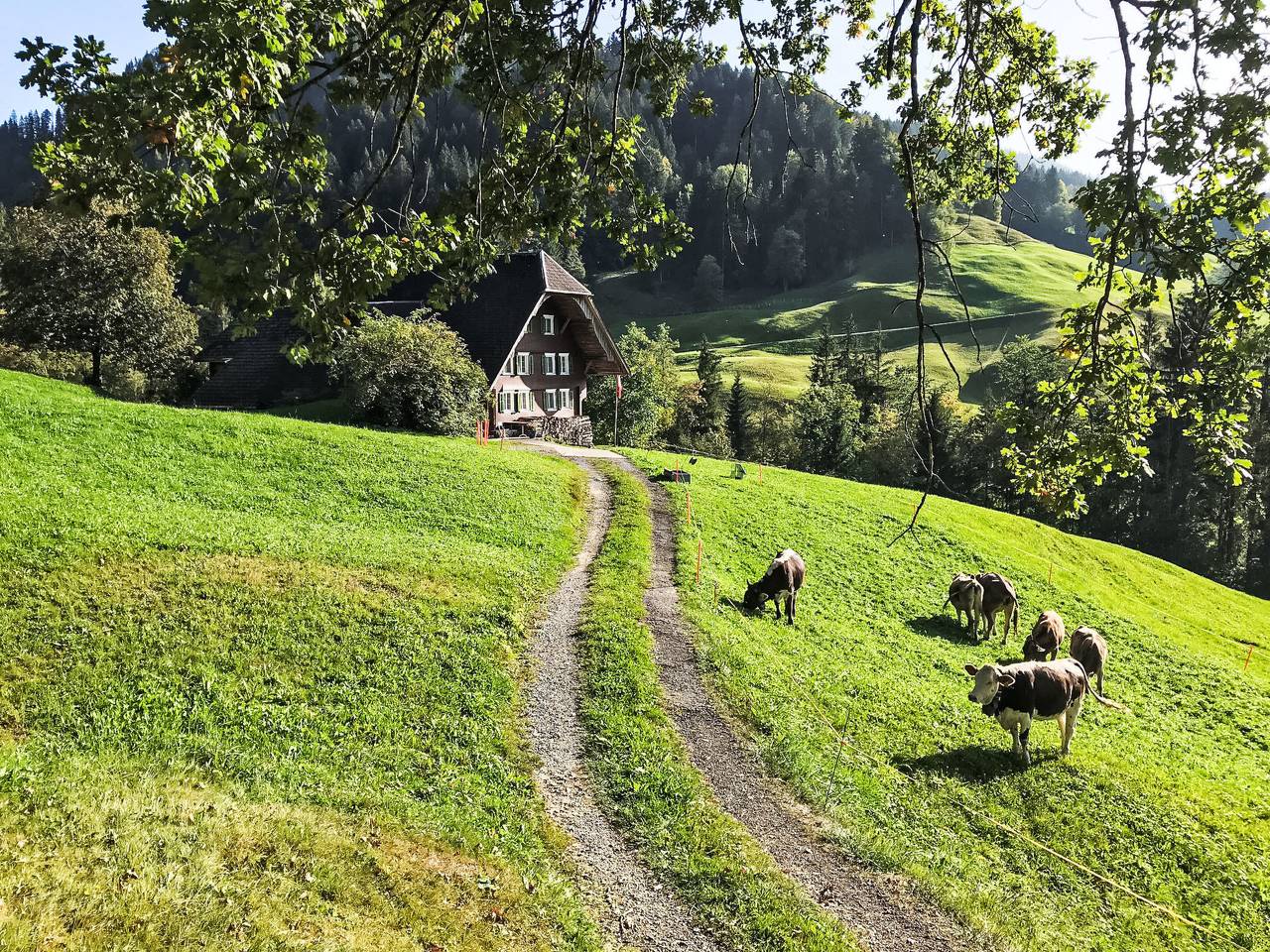 Rüttimätteli in Marbach, Kanton Luzern