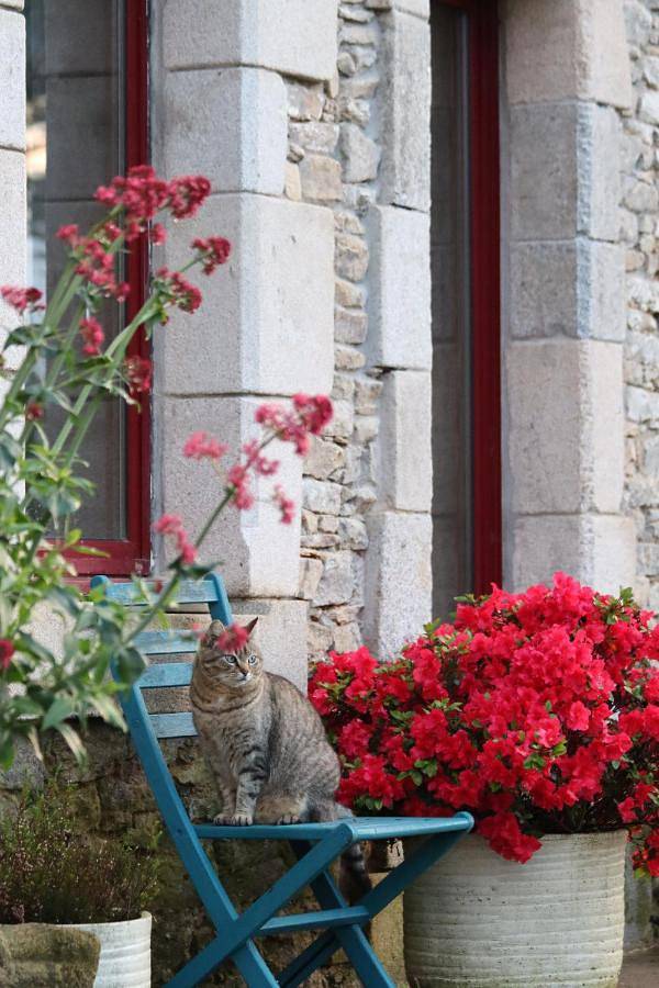 Chambre d’hôte pour 7 personnes, avec vue et jardin dans Parc naturel régional de Brière - 4