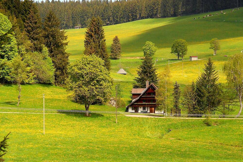Ganze Wohnung, Schwarzwaldurlaub in herrlicher Natur pur. in Eisenbach Hochschwarzwald, Eisenbach