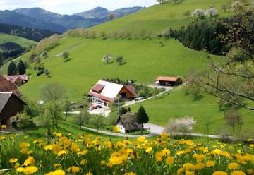 Appartamento per 2 Persone in Zell am Harmersbach, Foresta Nera centrale, Foto 4