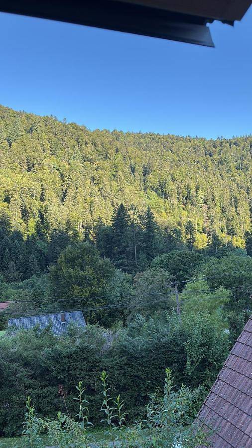 Gîte pour 3 personnes, avec jardin et vue, animaux acceptés à Mittlach - 2
