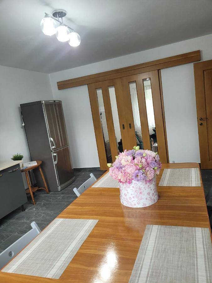 Location de vacances pour 10 personnes, avec jardin et vue dans Câmpina - 2