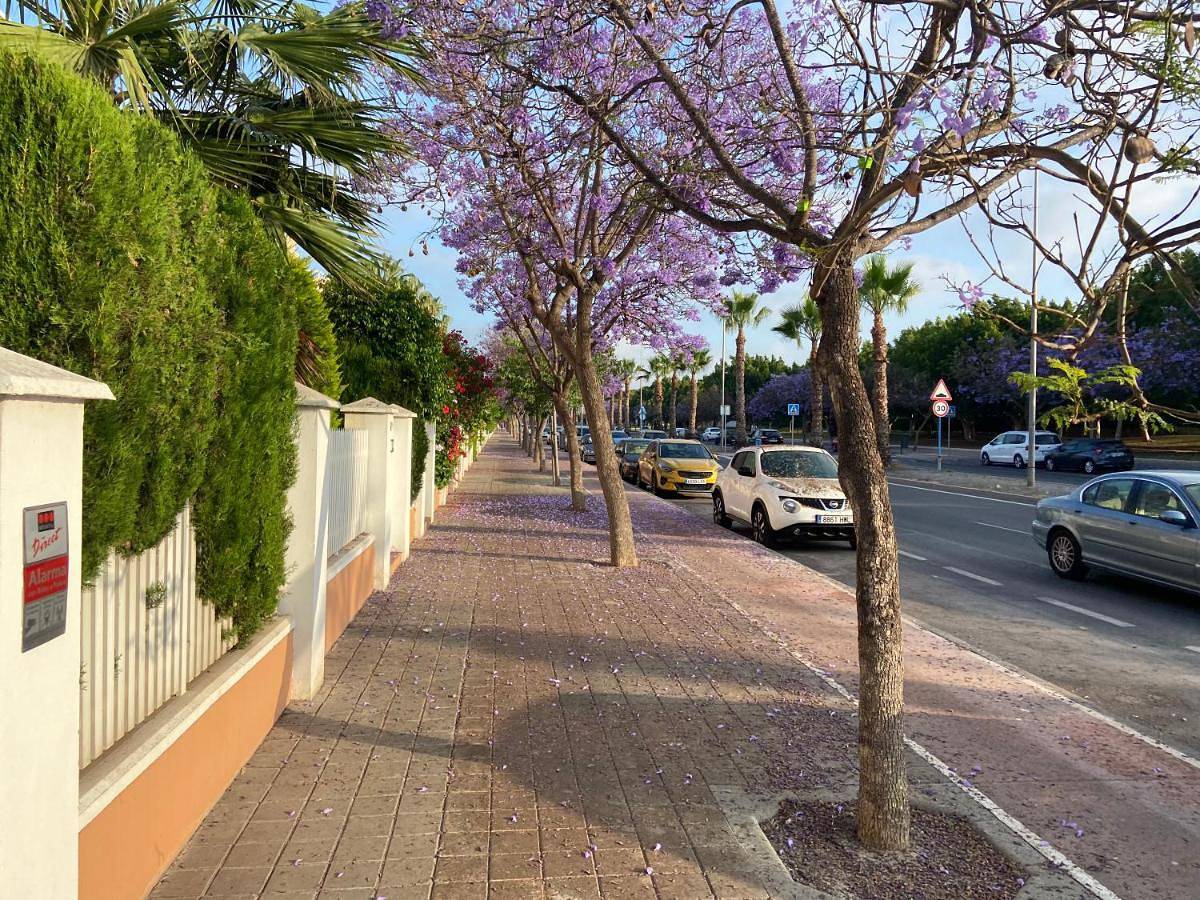 Villa Playa San Juan Alicante in El Barrio, San Juan Playa