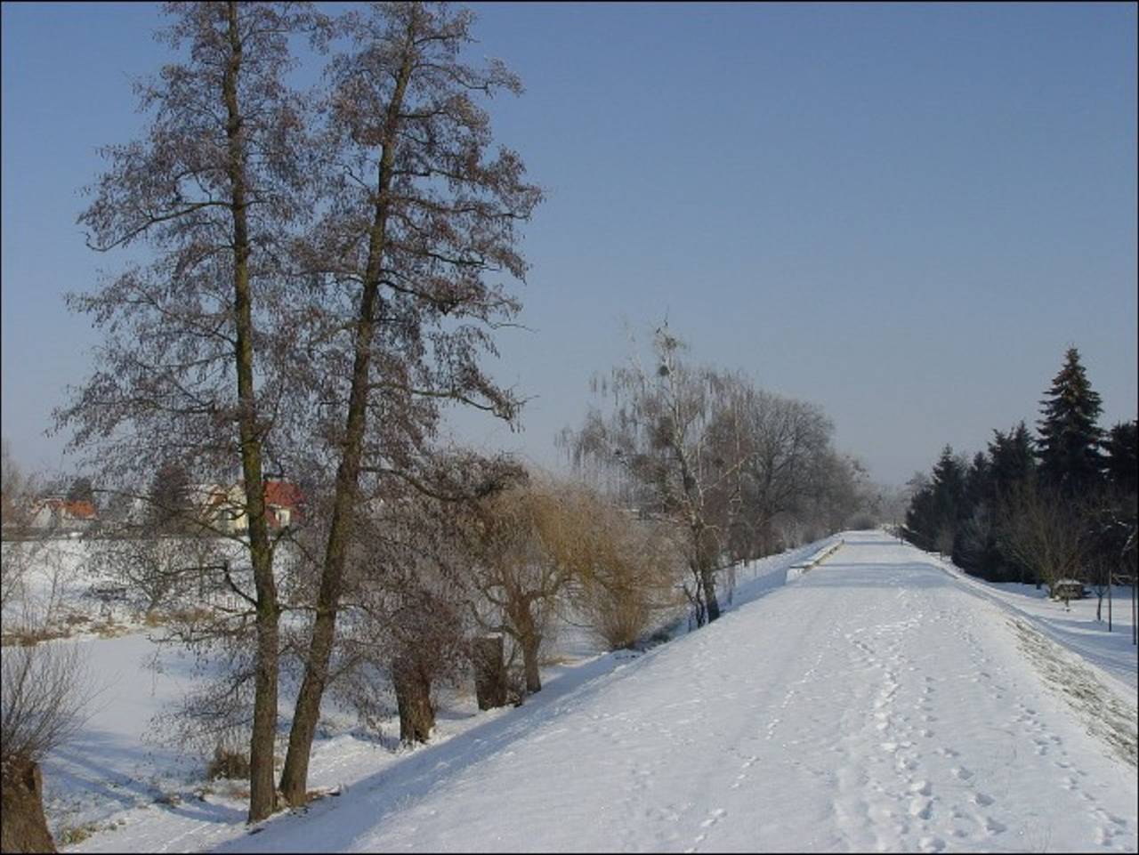 Ganze Ferienwohnung, Pension Am Scholitzer See - Zimmer 1 in Dessau, Dessau-Wörlitzer Gartenreich