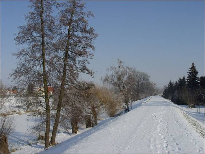 Ferienwohnung für 4 Personen, mit Garten und Terrasse in Dessau-Roßlau - 3