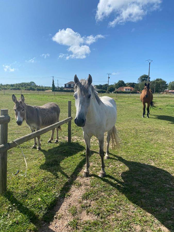 Location de vacances pour 7 personnes, avec jardin à Saint-Pierre-en-Val