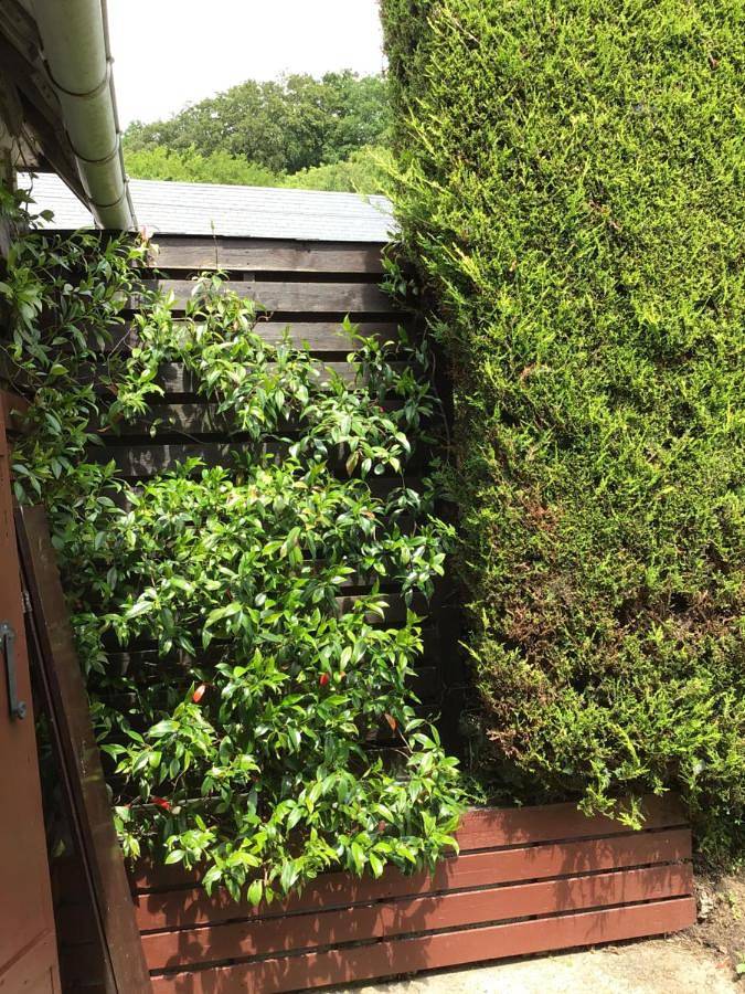 Location de vacances pour 3 personnes, avec jardin, animaux acceptés à Valmont - 4