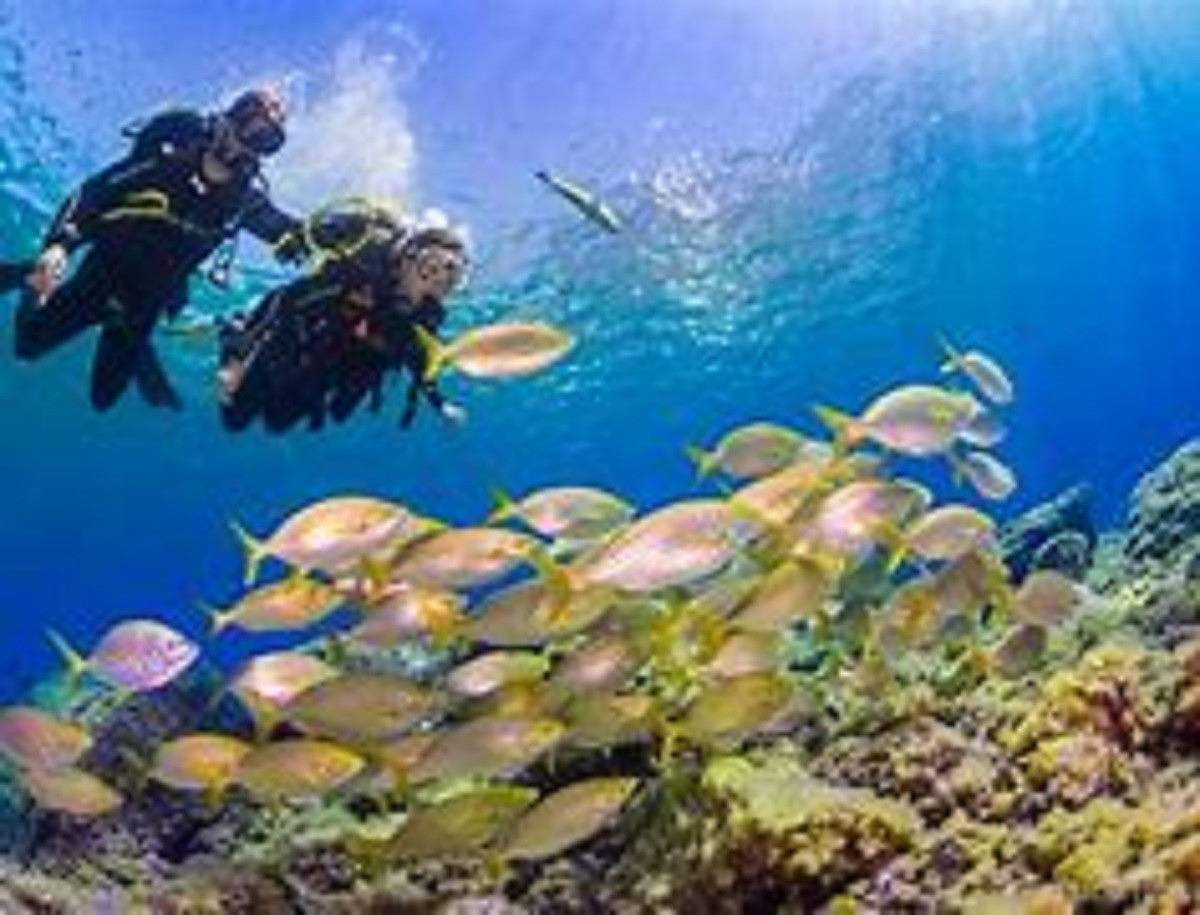 Ganze Wohnung, Your Island Villas Radazul in Radazul Bajo, El Rosario