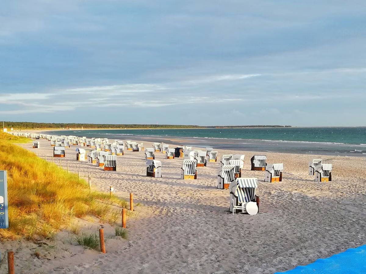 Ganze Ferienwohnung, Ostseedeich (08) in Prerow, Fischland - Darß - Zingst
