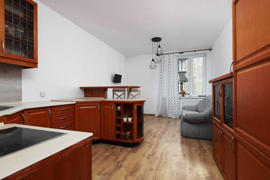 Cały apartament, One-Bedroom Apartment in Będzin, Śląsk