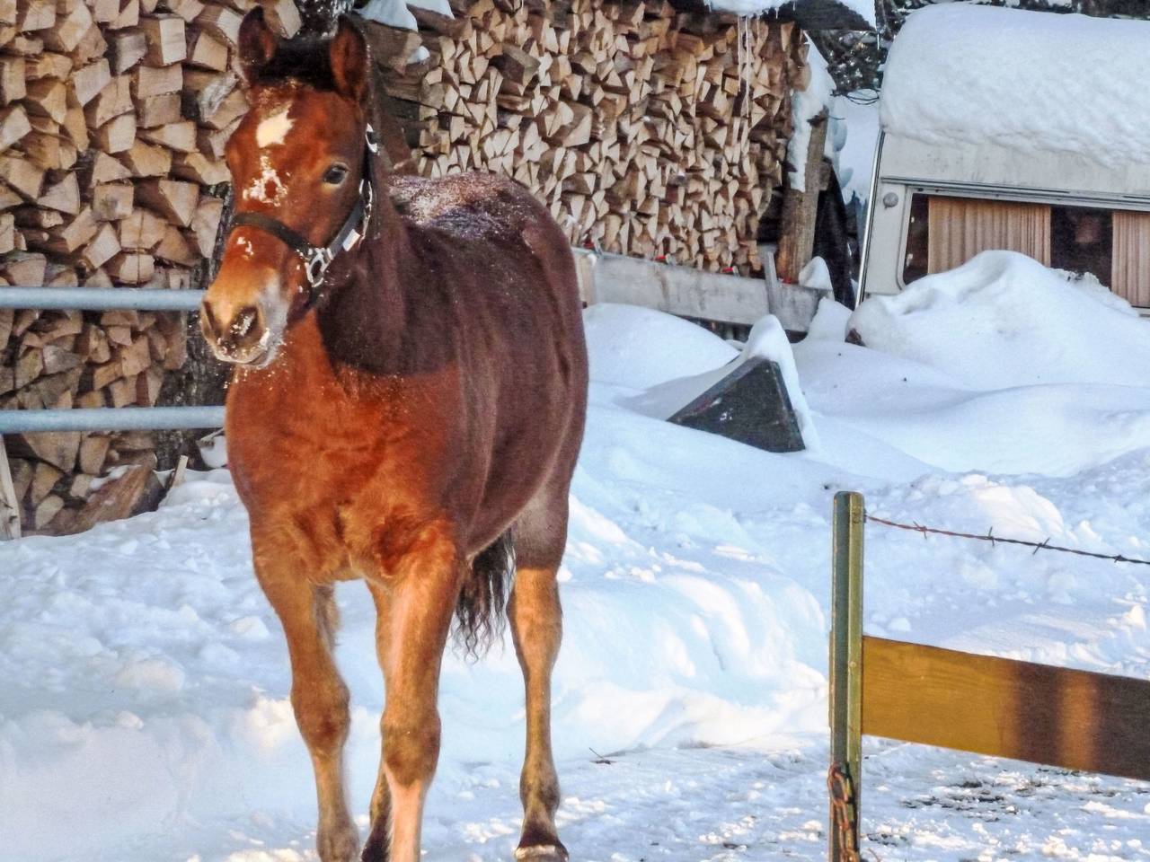 Chalet Mon Désir Lajoux in Fornet-Dessous, Lajoux (JU)