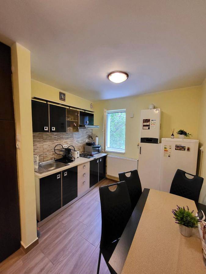Gîte pour 4 personnes, avec Jacuzzi ainsi que Jardin et Vue à Sinaia