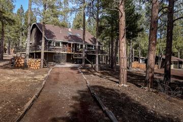 Log Cabin for 12 Guests in Coconino National Forest, Coconino County, Picture 1