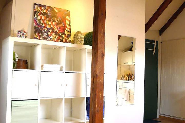 Ganze Wohnung, Charmantes Dachgeschoss im Trendviertel Zürich - See in der Nähe in Zürich Zustellkreis, Zürich