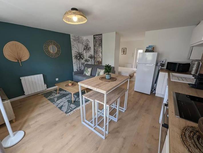 Gîte pour 4 personnes, avec terrasse à Digoin - 3