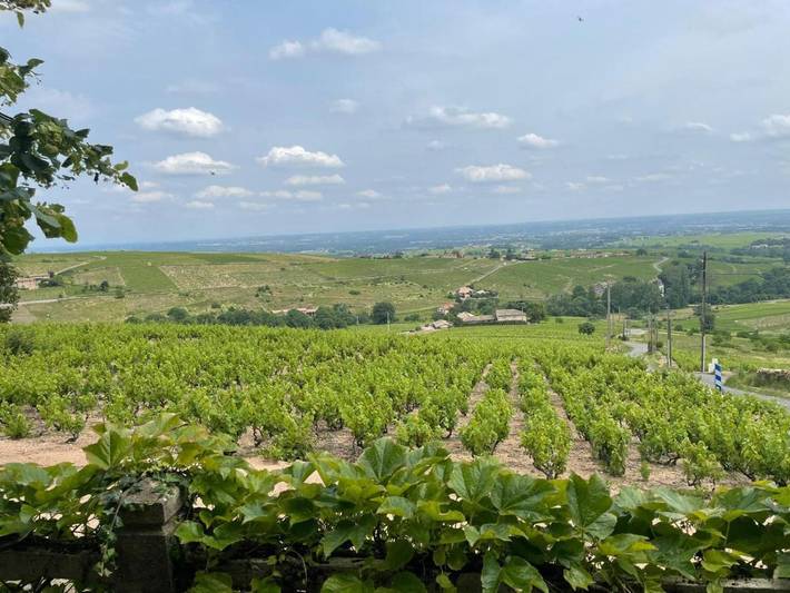 Location de vacances pour 2 personnes, avec jardin et vue à Chiroubles - 2