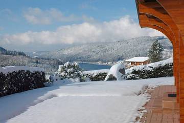 Chalet für 6 Personen, mit Garten und Terrasse, mit Haustier in Gérardmer