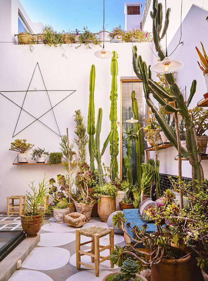 Maison d’hôte pour 2 personnes, avec vue ainsi que terrasse et jardin à Essaouira - 2