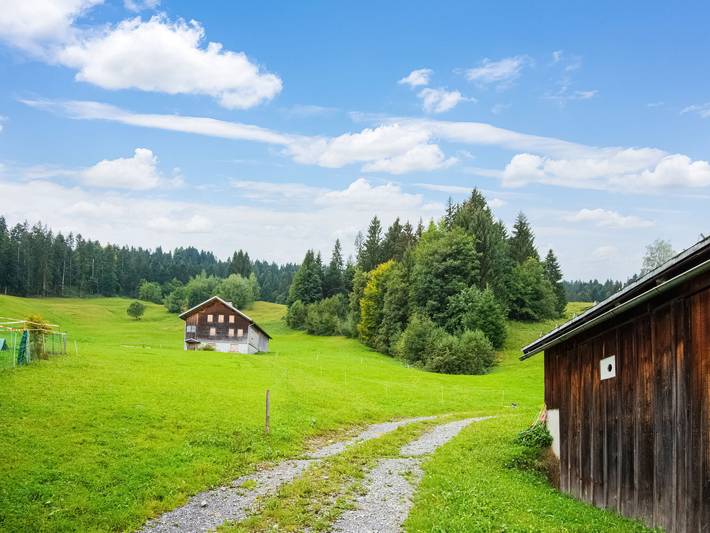 Ferienhaus für 16 Personen, mit Haustier im Bregenzerwald - 4