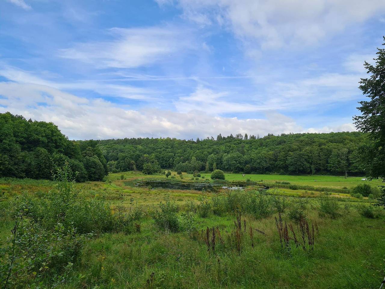 Familieferie i Lodskovvad in Lodskovvad, Ålbæk