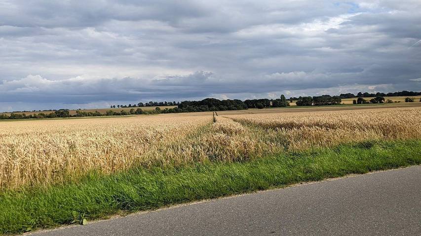 Ferienhaus für 9 Personen, mit Sauna und Whirlpool sowie Garten, mit Haustier in Odder und Umgebung - 3