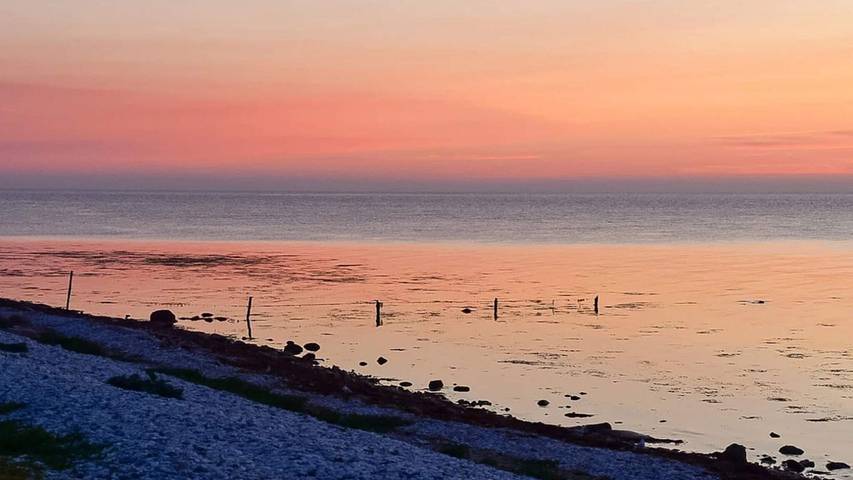 Ferienhaus für 5 Personen, mit Terrasse, mit Haustier in Grenå Strand - 3