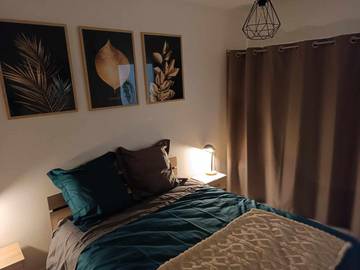 Gîte pour 4 personnes, animaux acceptés à Anneyron