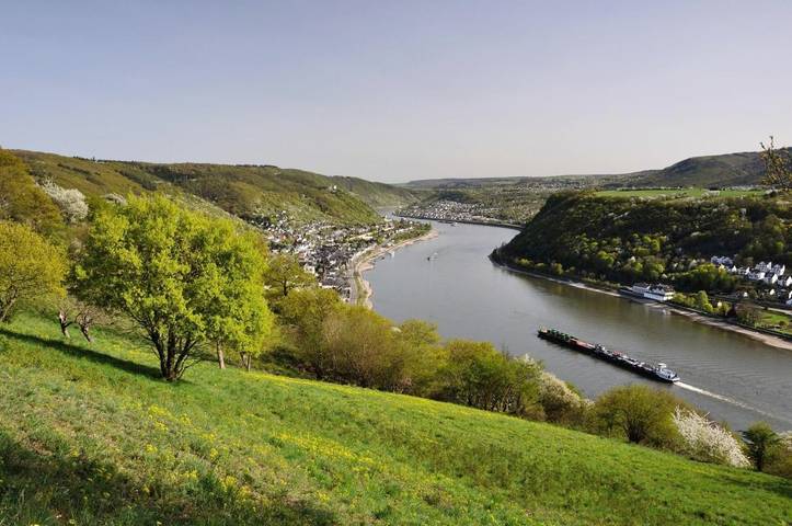 Hotel für 2 Personen, mit Ausblick und Garten, mit Haustier in Kamp-Bornhofen - 3