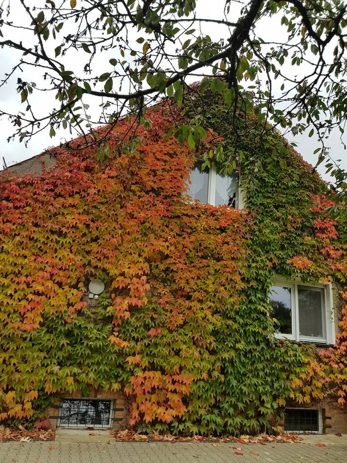 Ferienwohnung für 6 Personen, mit Garten in Neuruppin - 3