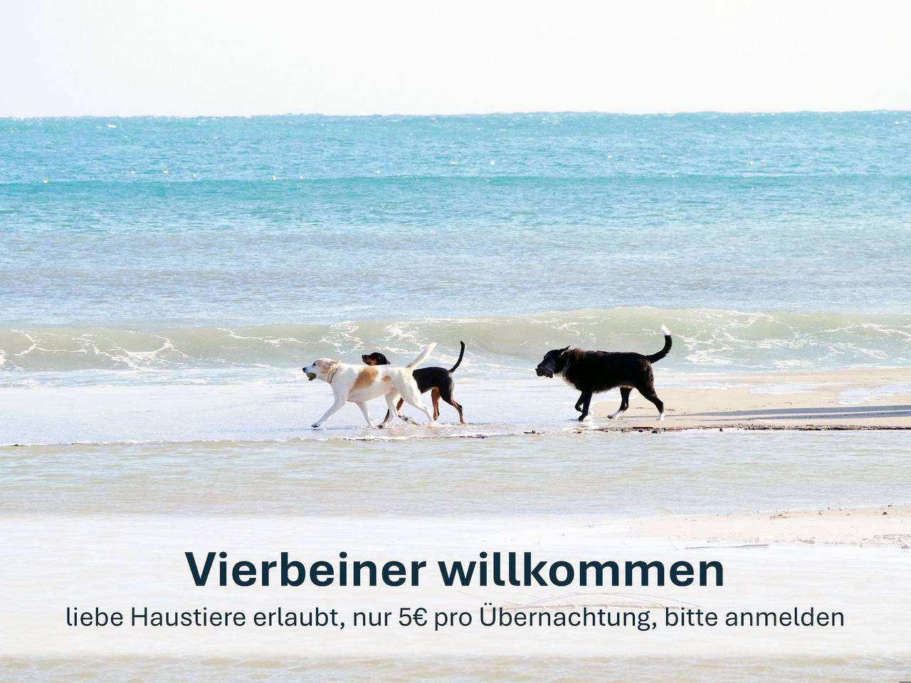 Haus Katamaran -Typ 2 mit Sauna - Nordseebad Burhave - Katamaran- #W20a in Burhave, Butjadingen