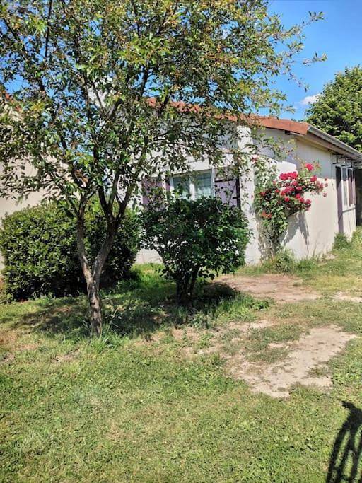 Location de vacances pour 5 personnes, avec terrasse et jardin à Paray-le-Frésil - 3