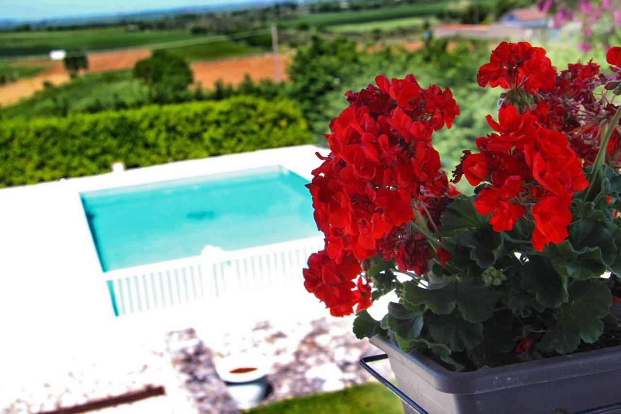 Double Room with Private Bathroom in Gravina in Puglia, Parco nazionale dell'Alta Murgia