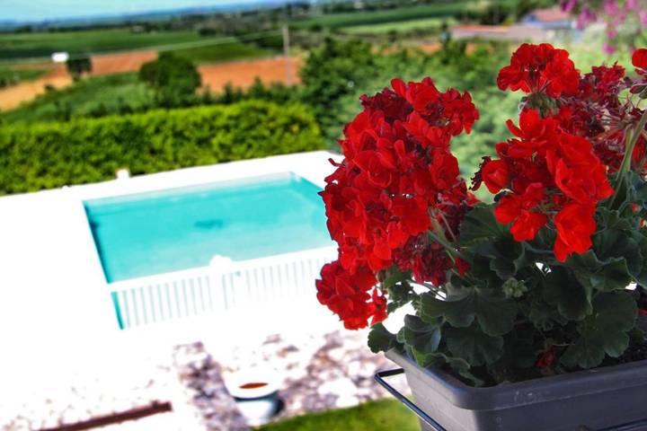 B&b per 3 persone, con Balcone e Terrazza nonché Giardino e Piscina a Gravina in Puglia